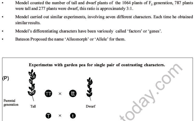 NEET Biology Heredity And Variation MCQs Set B, Multiple Choice Questions